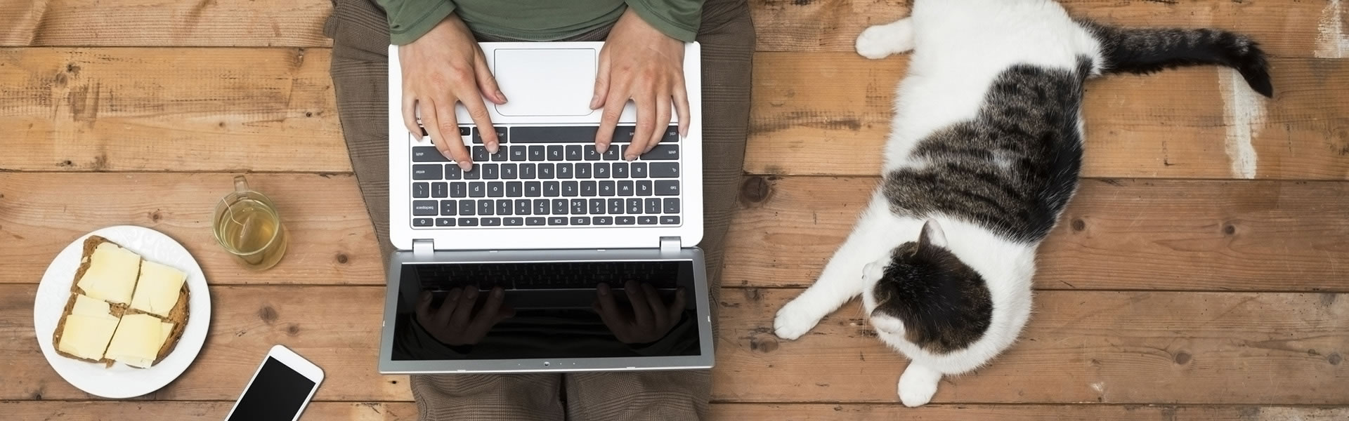 osoba z laptopem i kot